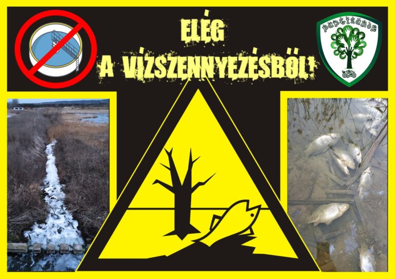 Vízszennyezés ellen tiltatkozott a veresegyházi Tavirózsa Egyesület