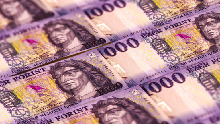 10 millió forint fel nem használt támogatást vont vissza a  gödi Kapu Cikk egyesülettől Pest Vármegye Önkormányzata