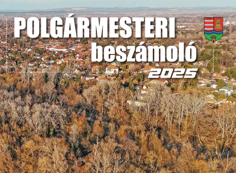 Felújítják a gödi iskolák mosdóit egy éven belül